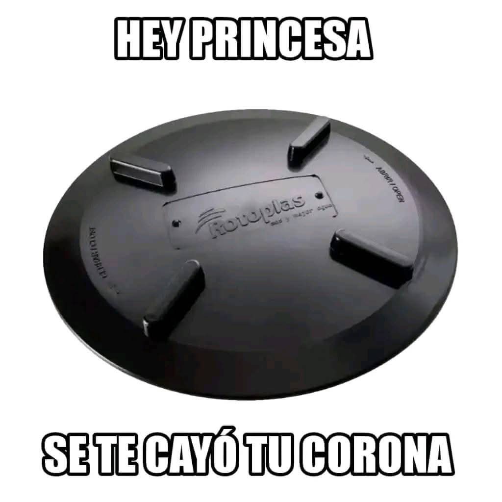 BaesBlack's tweet photo. @casaverde72 Ella es una reina, le falto su corona https://t.co/esOpshBThZ
