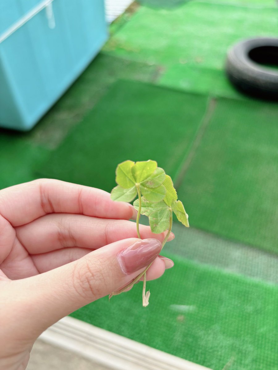 指先に届いた、偶然の贈り物🍀
今日が少しだけ特別になる瞬間。