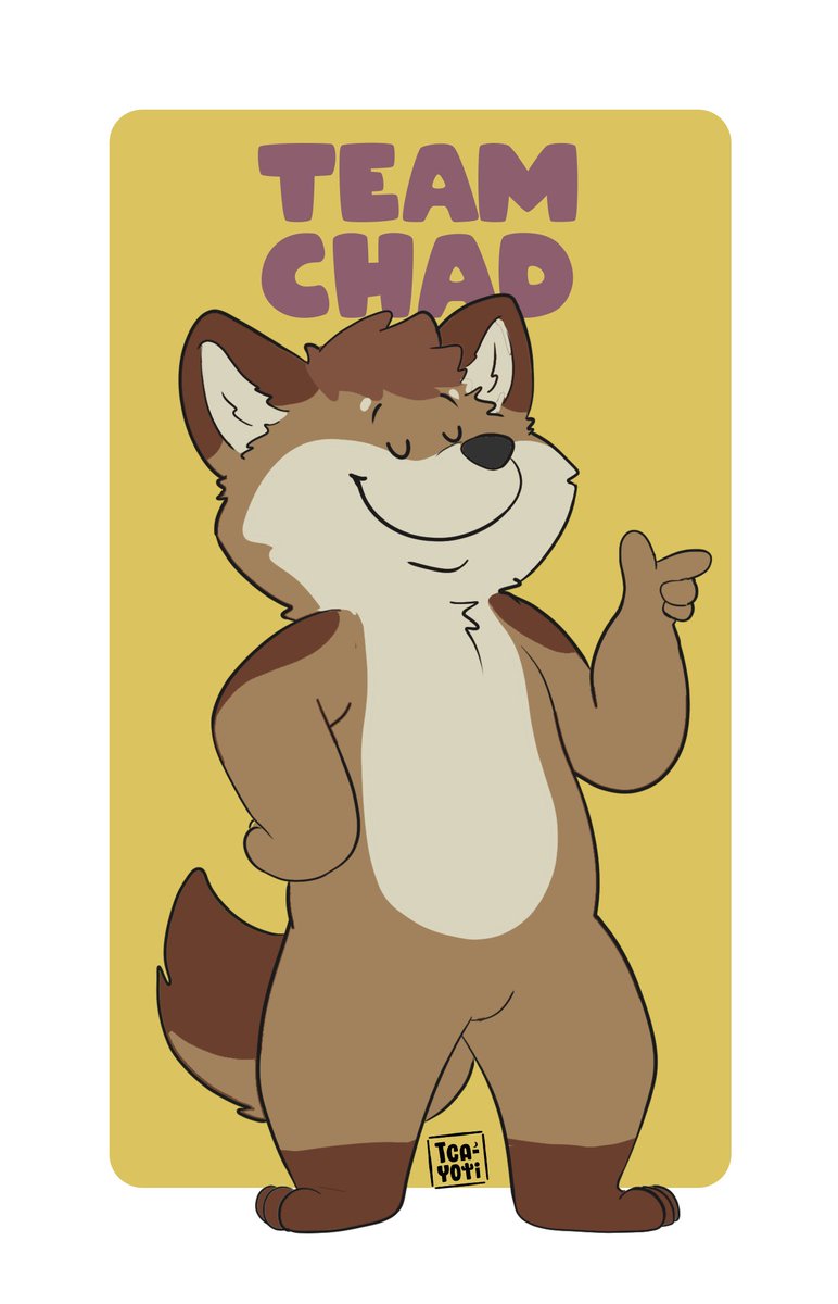 🟠 Team Shy 😳
🟡 Team chad  😎