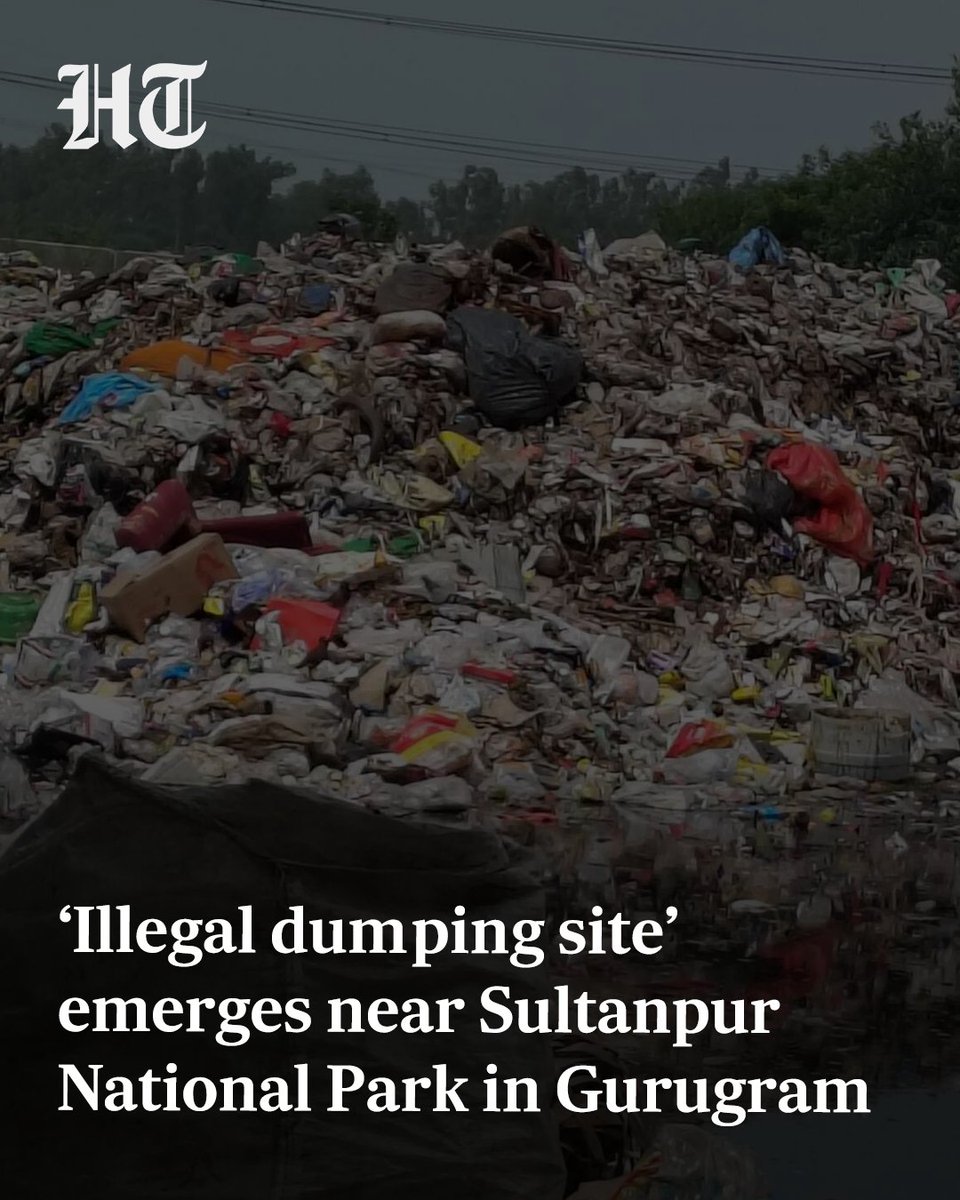 Hindustan Times (@httweets) on Twitter photo An illegal dumping site has surfaced within the eco-sensitive zone (ESZ) of Sultanpur National Park, raising alarm among environmentalists, residents, and public health experts.
Read full story 🔗 hindustantimes.com/cities/gurugra…
<a href="/leenadhankhar/">Dr. Leena Dhankhar</a> ✍️ An illegal dumping site has surfaced within the eco-sensitive zone (ESZ) of Sultanpur National Park, raising alarm among environmentalists, residents, and public health experts.
Read full story 🔗 hindustantimes.com/cities/gurugra…
<a href="/leenadhankhar/">Dr. Leena Dhankhar</a> ✍️