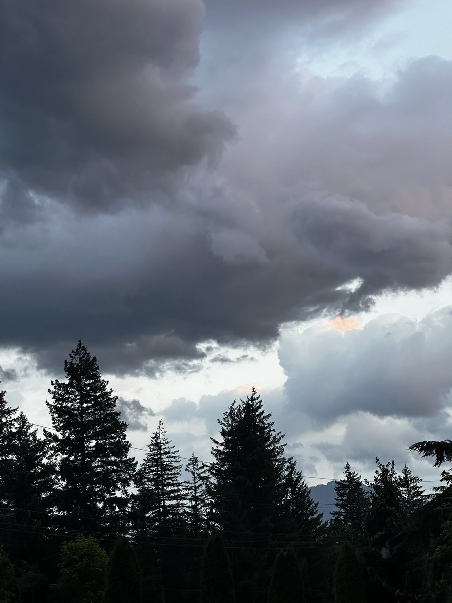 Love the clouds moving in with much needed rain …contrast’s in nature about to unfold …