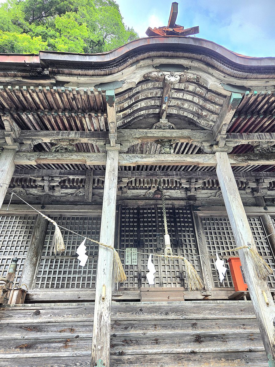 ぽんさん <a href="/inopon/">ぽん＠camp</a> おすすめの
#穴門山神社 に行ってみた😊
めちゃめちゃ荘厳で苔むした参道
すごく歴史を感じる神社でした⛩️
パワーもらえたかな😁✨✨