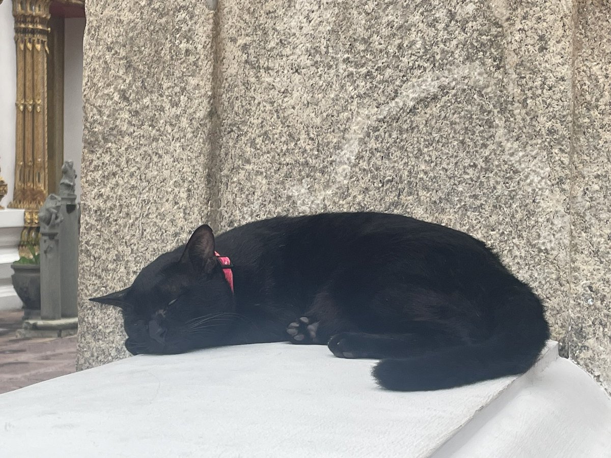 하나에 정신을 둘에 차리자