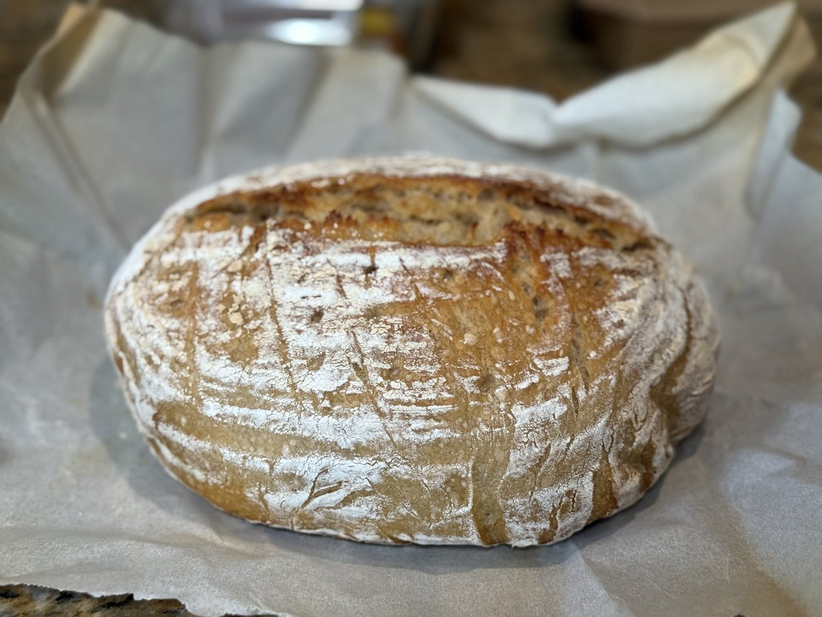 RTYOYOK's tweet photo. It’s insane that I have become a sourdough enthusiast like 6 months ago as well! @taylorswift13 @taylornation13 #Lifeofashowgirl #sourdough https://t.co/2DU7dkjz2E