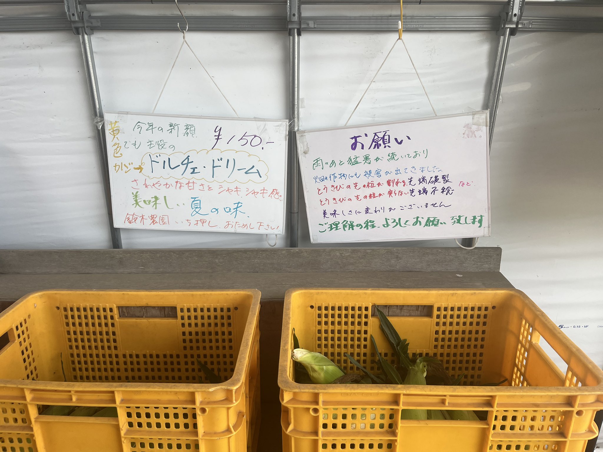 めけめけ めけめけ (@mekemekeboston) / X