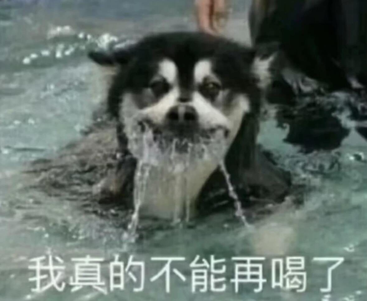 hanibat_'s tweet photo. 近期学游泳be like：教练（咕嘟咕嘟） https://t.co/FIXJKw5j9E