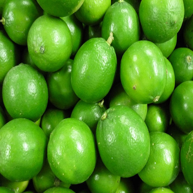 VSF202's tweet image. 🍋 Fresh Limes from Vietnam – Seeded or Seedless. Slim green peel, juicy &amp;amp; vitamin-packed! Available year-round in 5–10kg bags.
📧 export2@vietseafarm.com.vn | 📞 +84 347 499 738
#VietnamLime #FreshExport #CitrusMarket