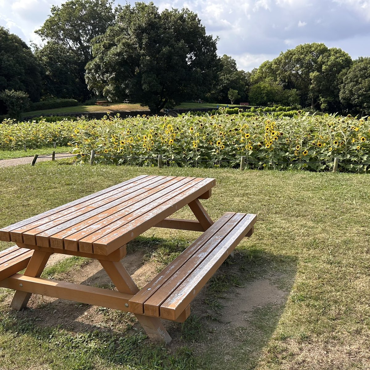 Found your Heaven? tweet media