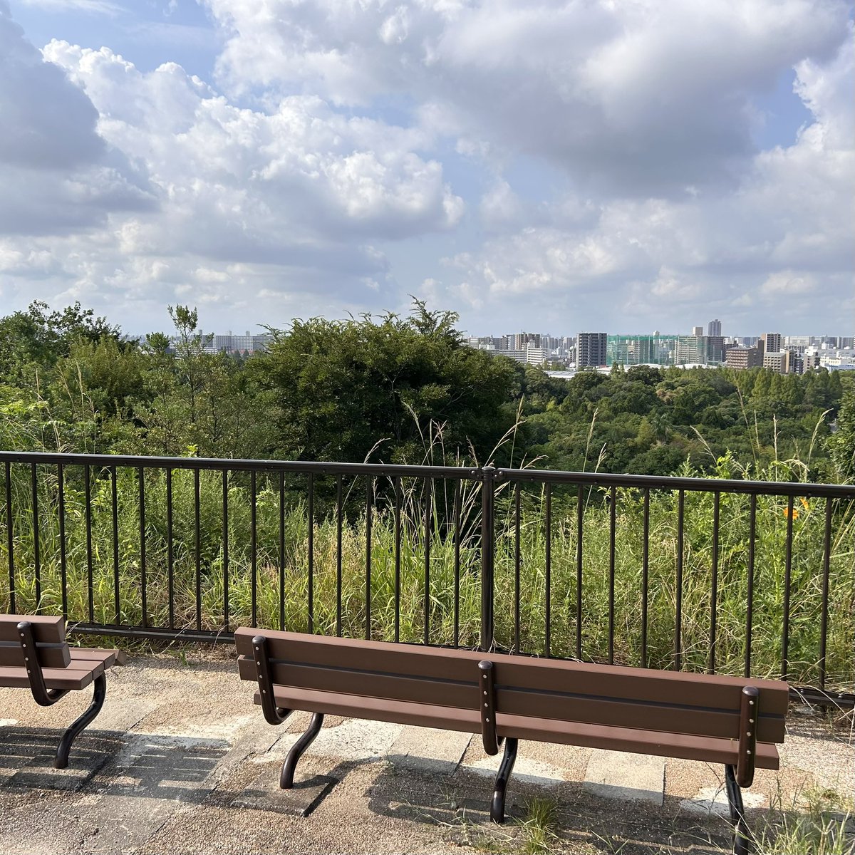 Found your Heaven? tweet media