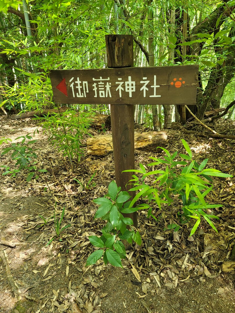 may6868's tweet photo. 途中の道標
かなりの山道で、汗だく😵💦 https://t.co/FBvFu7lvAU