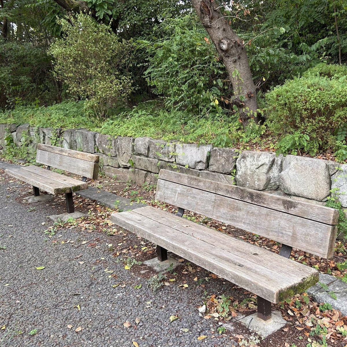 Found your Heaven? tweet media