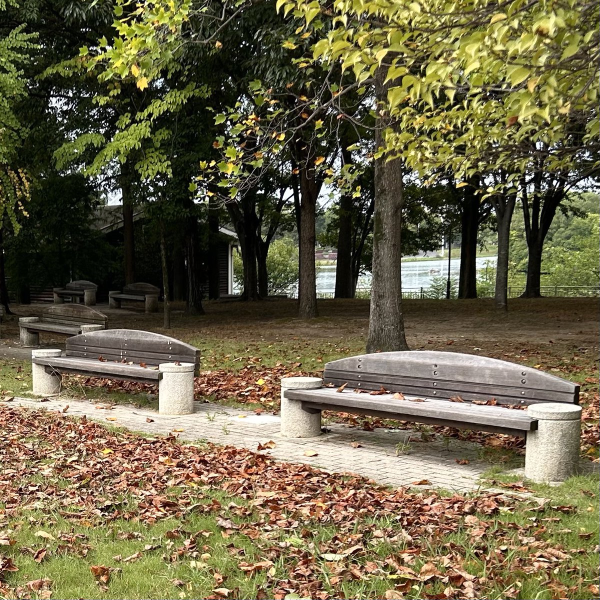 Found your Heaven? tweet media