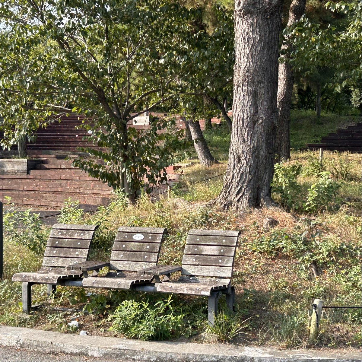 Found your Heaven? tweet media