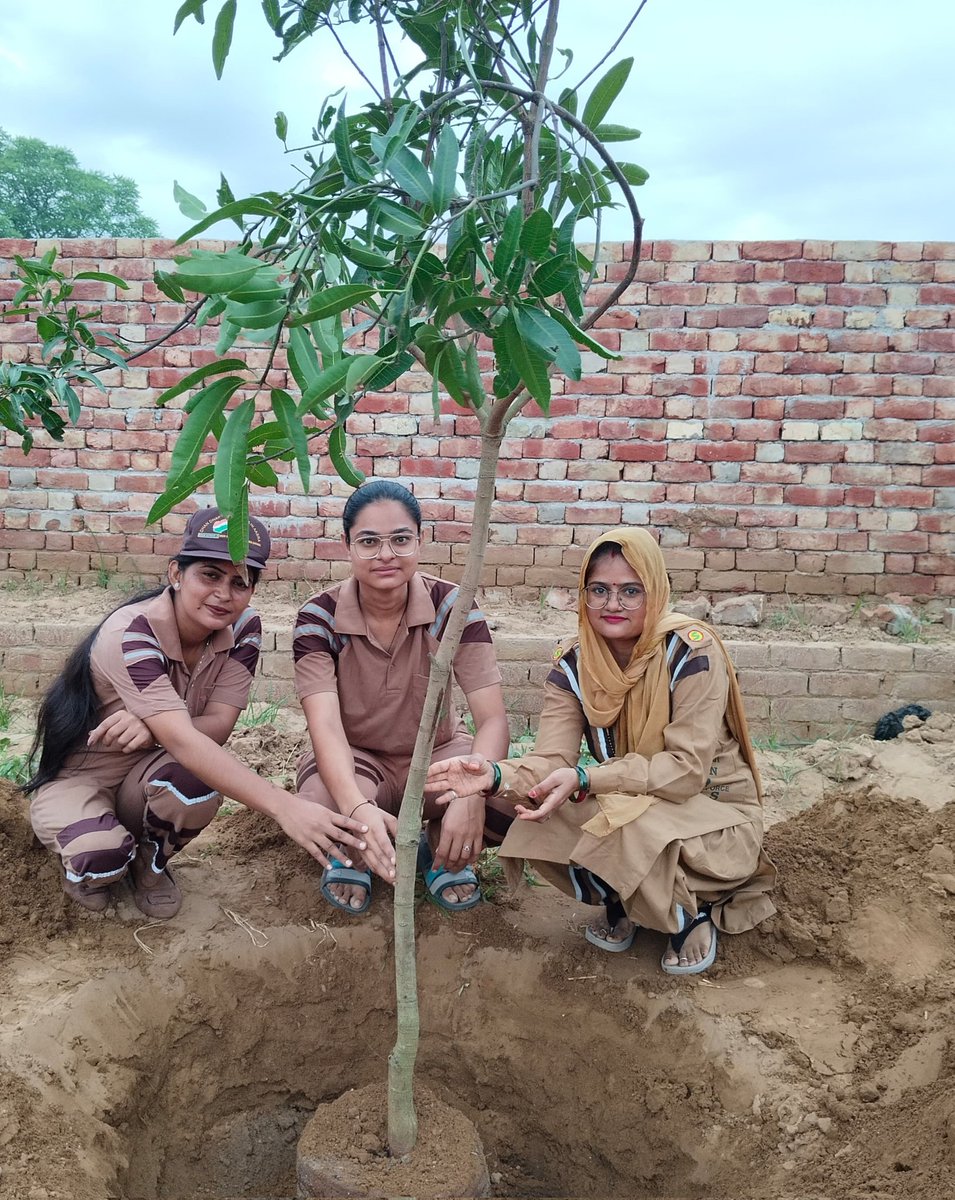 "पौधा रोपण है सेवा का काम,
ये बचाएगा धरती का नाम।
हर दिल में ये सोच जगाएँ,
#MyGiftToMSG, हरियाली फैलाएँ।"
#GoGreen
Saint MSG