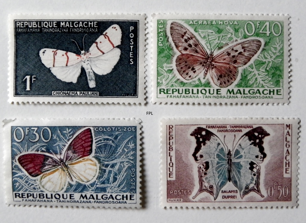 Pacopelegrina2's tweet photo. Madagascar - Emisión de 1960
#filatelia
#philately
#philatèlie
#stampsmadagascar
#stampscollection
#aficiones https://t.co/b4Wfq9PWxx