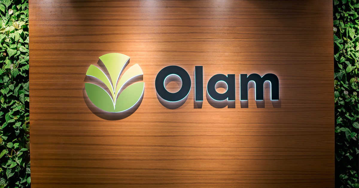 Olam tweet media