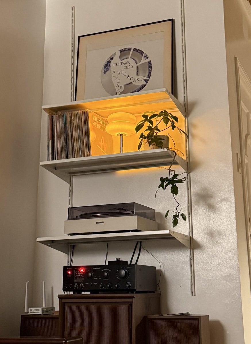 alan segui tweet media