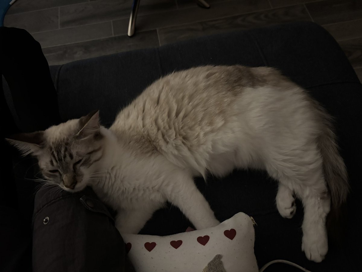 cait 🪩 tweet media