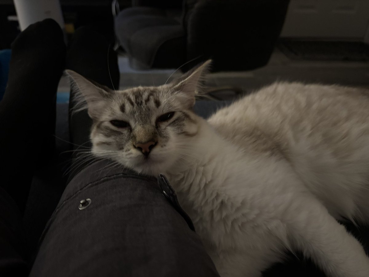 cait 🪩 tweet media