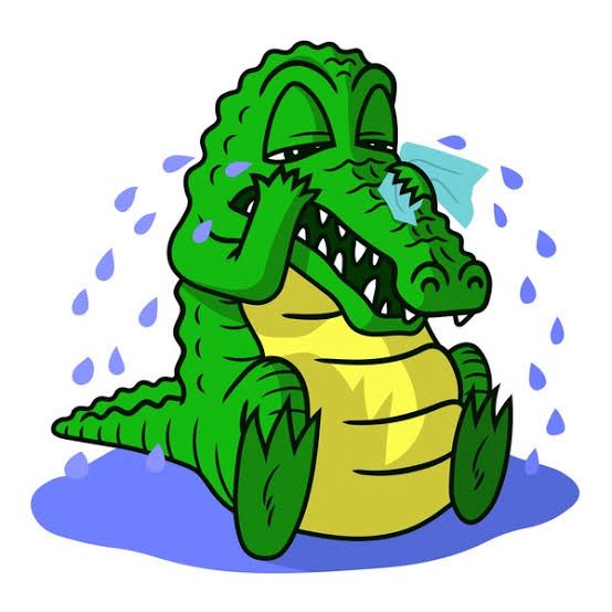 Paul Tully Media 🇦🇺 tweet media