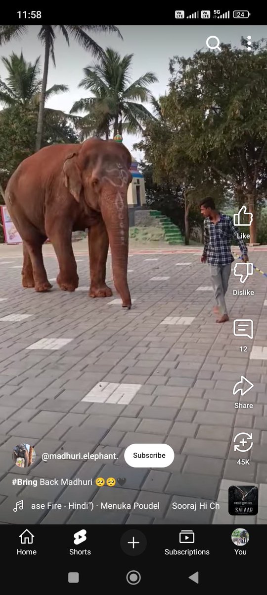 Dr nilesh arvind doshi _ vidanikar (@nileysh5) / Posts / X