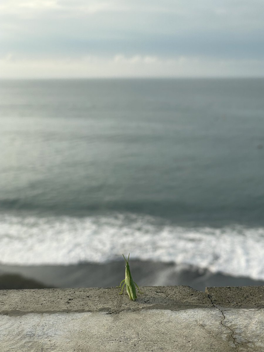 [今日の一枚]

海と私。