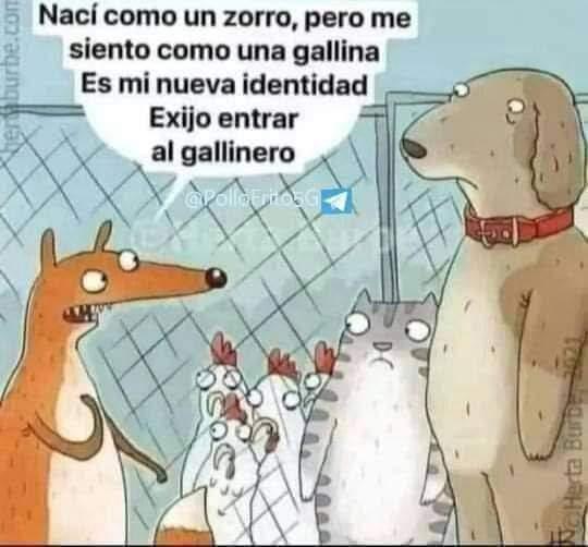 GusrrssS21975's tweet photo. @ChilangoCom https://t.co/lKR0DHldjn