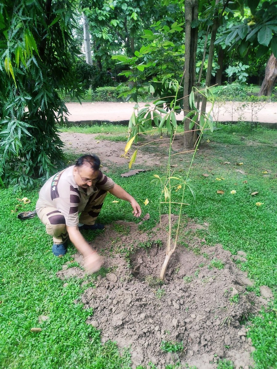 dk_1968's tweet photo. #MyGiftToMSG  save mother Earth plant more trees for better future https://t.co/WQ3jc284wF