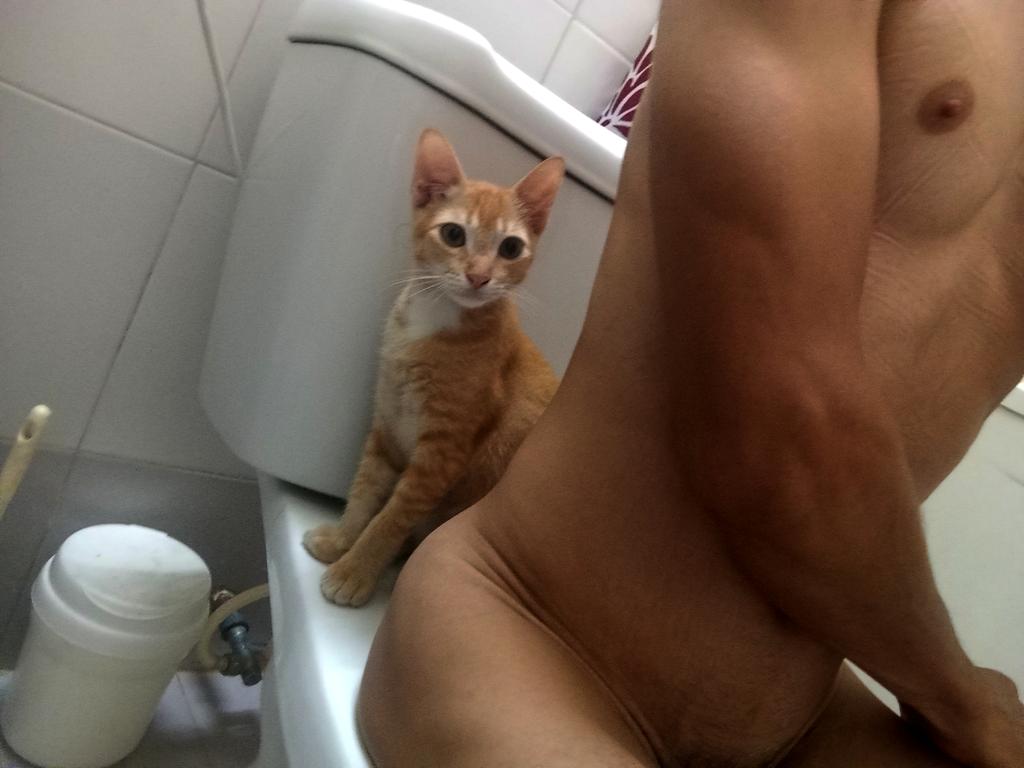 🐱 Ya esto es el colmo la verdad.
No me deja ni ir al baño tranquilo.