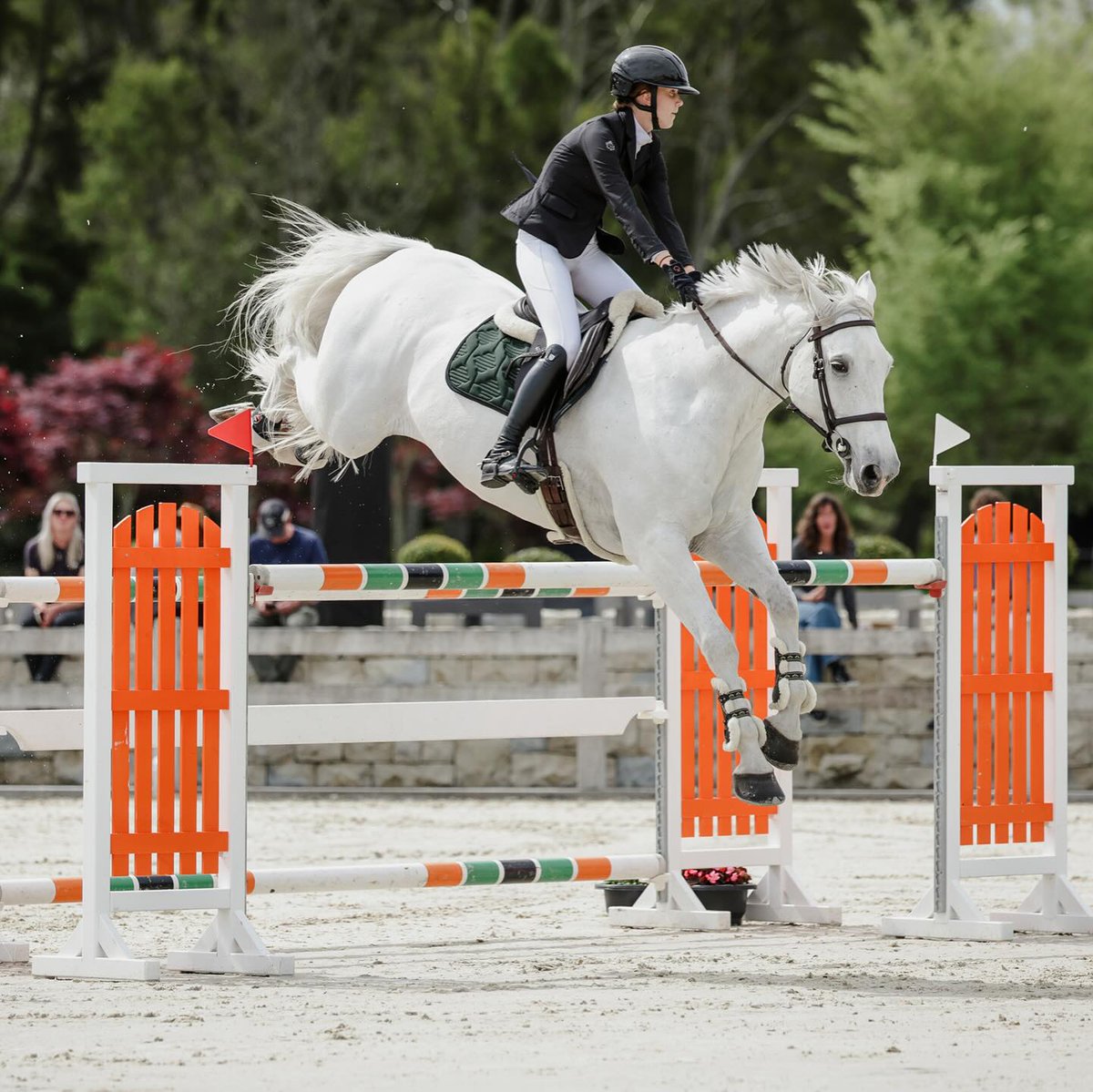 NZBAirfreight's tweet photo. Young Rider Sophia Blackbourn will represent New Zealand in the upcoming Trans-Tasman Test around Sydney, and travelling with her are the wonderful Blue & Roxette. 🐴
We wish Sophia & her team all the very best in the challenge ahead 🍀
#FirstClassFlyers #GoingtheExtraMile🌎✈️ https://t.co/Kl2H1frOEo