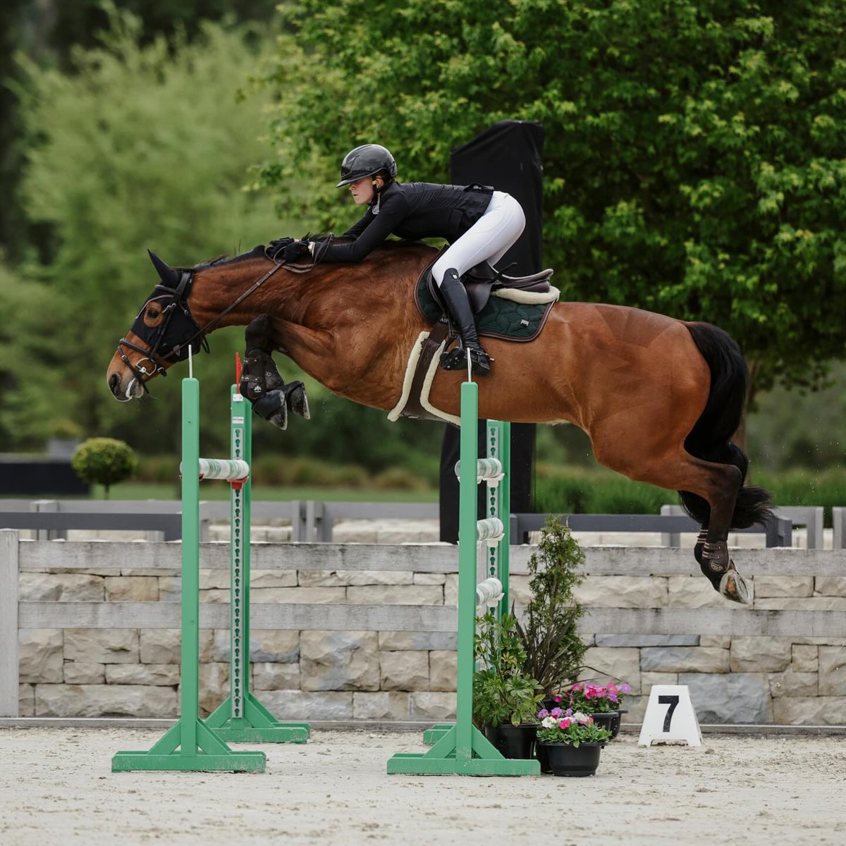 NZBAirfreight's tweet photo. Young Rider Sophia Blackbourn will represent New Zealand in the upcoming Trans-Tasman Test around Sydney, and travelling with her are the wonderful Blue & Roxette. 🐴
We wish Sophia & her team all the very best in the challenge ahead 🍀
#FirstClassFlyers #GoingtheExtraMile🌎✈️ https://t.co/Kl2H1frOEo