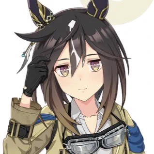 公式のステゴの顔がいい 馬のステゴで脳を焼かれて ウマ娘のステゴで夢女子なる ステゴのお嫁さんになるのが夢