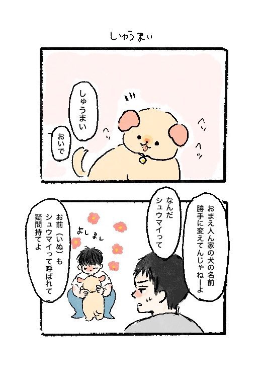 しゅうまいの再放送