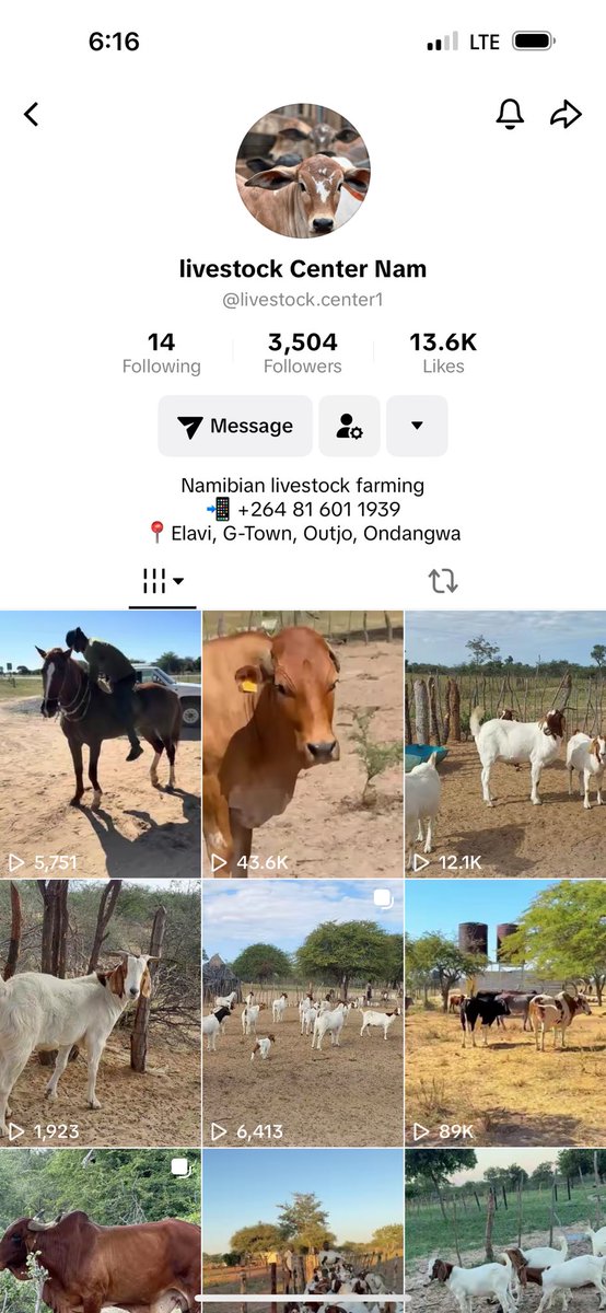 Tangeni (@joshkapala) on Twitter photo 