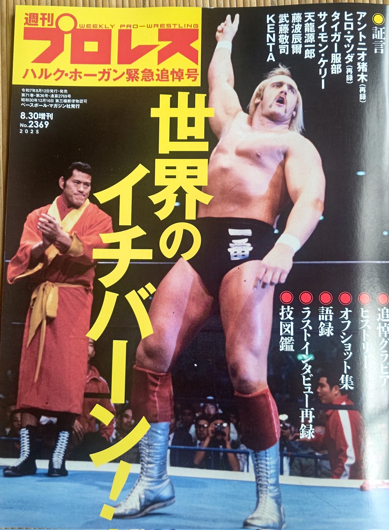 未開封　ロッキーⅢ　サンダーリップス（ハルク・ホーガン）WWE WCW 未開封 ロッキーⅢ サンダーリップス（ハルク・ホーガン）WWE