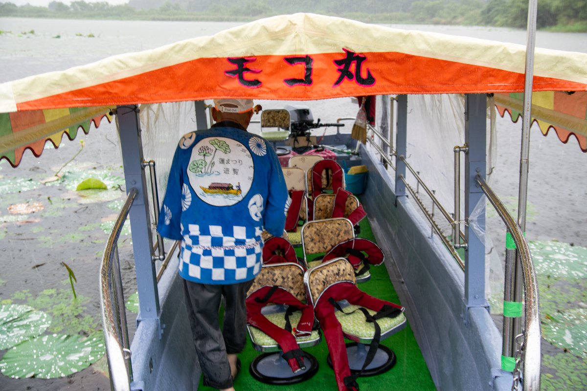 &lt;｢伊豆沼はす祭りｼｬﾄﾙﾊﾞｽ｣ 8/18～8/24【8/17～8/23宿泊対象】8/19除外&gt;

詳しくはこちら
mkanyo.jp/information/ha…