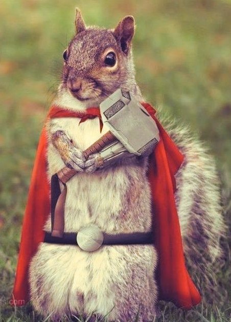 Good morning dear mindblowing Twitteroonies of here n there☕🌞
Thorsday n sunny, it will be a beatiful FrejasEve😉
I wish yous a superb day full of kindness, magic, happiness, wisdom, optimism, knowledge, insight, camaradery, positivity, hope, funs, joys, smiles n laughter😊🤙