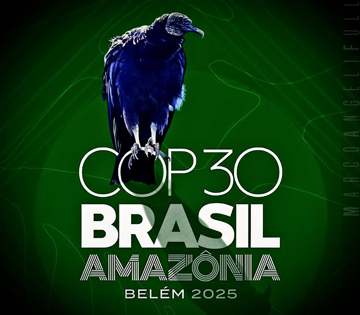 Não tenho nada contra urubu.
Pelo contrário, tenho até o maior respeito pelos que infestam o Mercado Ver-o-Peso, em Belém, onde será realizada a COP30 do lula, que podem ser- e provavelmente são- os ancestrais dos que infestam Brasília.
Alguns de seus descendentes, uns onze,