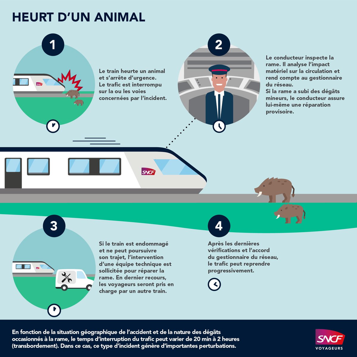 🚦#FlashInfoTraficNomadTrain 6h24

🔴 Heurt d'un animal dans le secteur de Maromme, sur la ligne Le Havre ↔️ Rouen et Rouen ↔️ Dieppe.

❌ Le trafic est actuellement interrompu entre Maromme et Rouen, le temps d'effectuer les vérifications de sécurité nécessaires sur le train