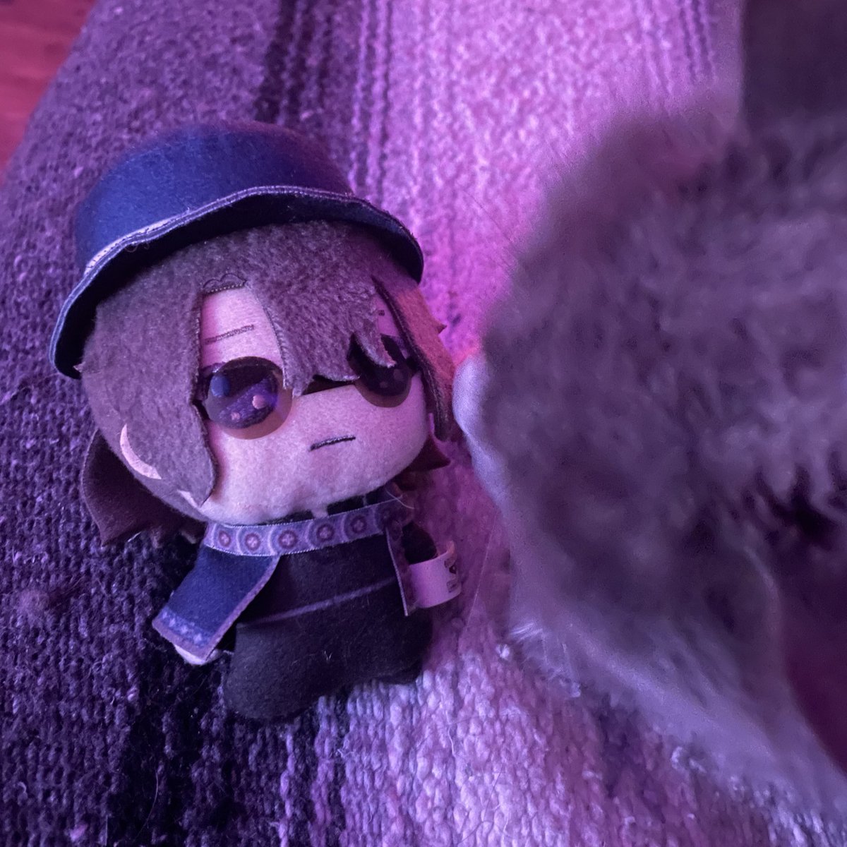 🐈！
#まほやく_ぬい