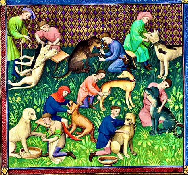 MedMilMedicine's tweet image. Medieval Dog Spa:  Service includes, wash &amp;amp; dry, dental inspection, manicure, massage and collar adjustment   -   14th century, Morgan Library and Museum, MS M.1044, f. 31v