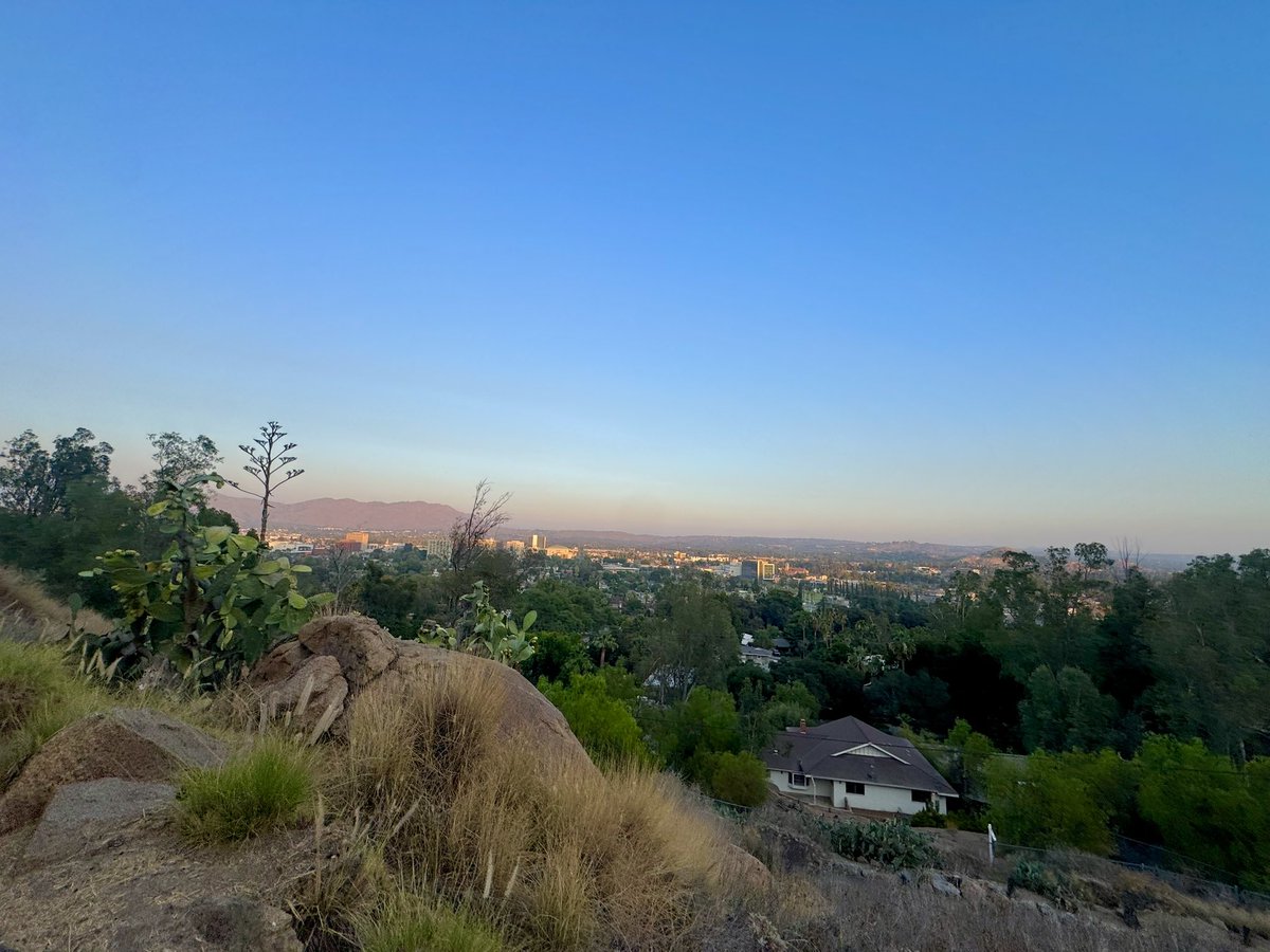 Dominique Samario tweet media