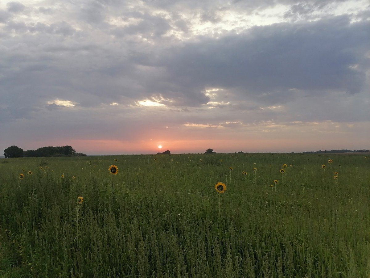 Boscowitz's tweet photo. Goedemorgen #Sittard #zonsopkomst https://t.co/rBIGefvp3N