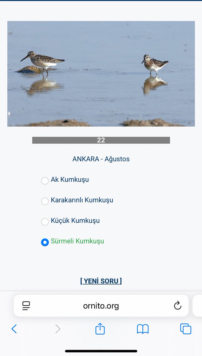 pes pese 20sorudur dogru yapiorum soyle diyim: bugun babayim🤰🏻🤰🏻🤰🏻🤰🏻