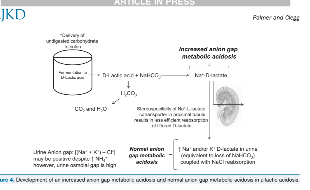 Abdelhamid Hamdy tweet media