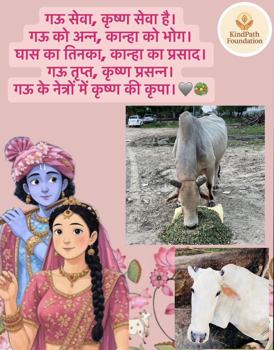 Kindpathngo's tweet photo. 🎶 Krishna played His flute among them… today, you can feed them in His name. 🐄💖

💟Link in bio tu support!!

#DivineBlessings #Bhakti #SevaIsLove #KrishnaPrem #BlessingsFlow #SacredSeva #ActOfKindness https://t.co/3JTKEce1at