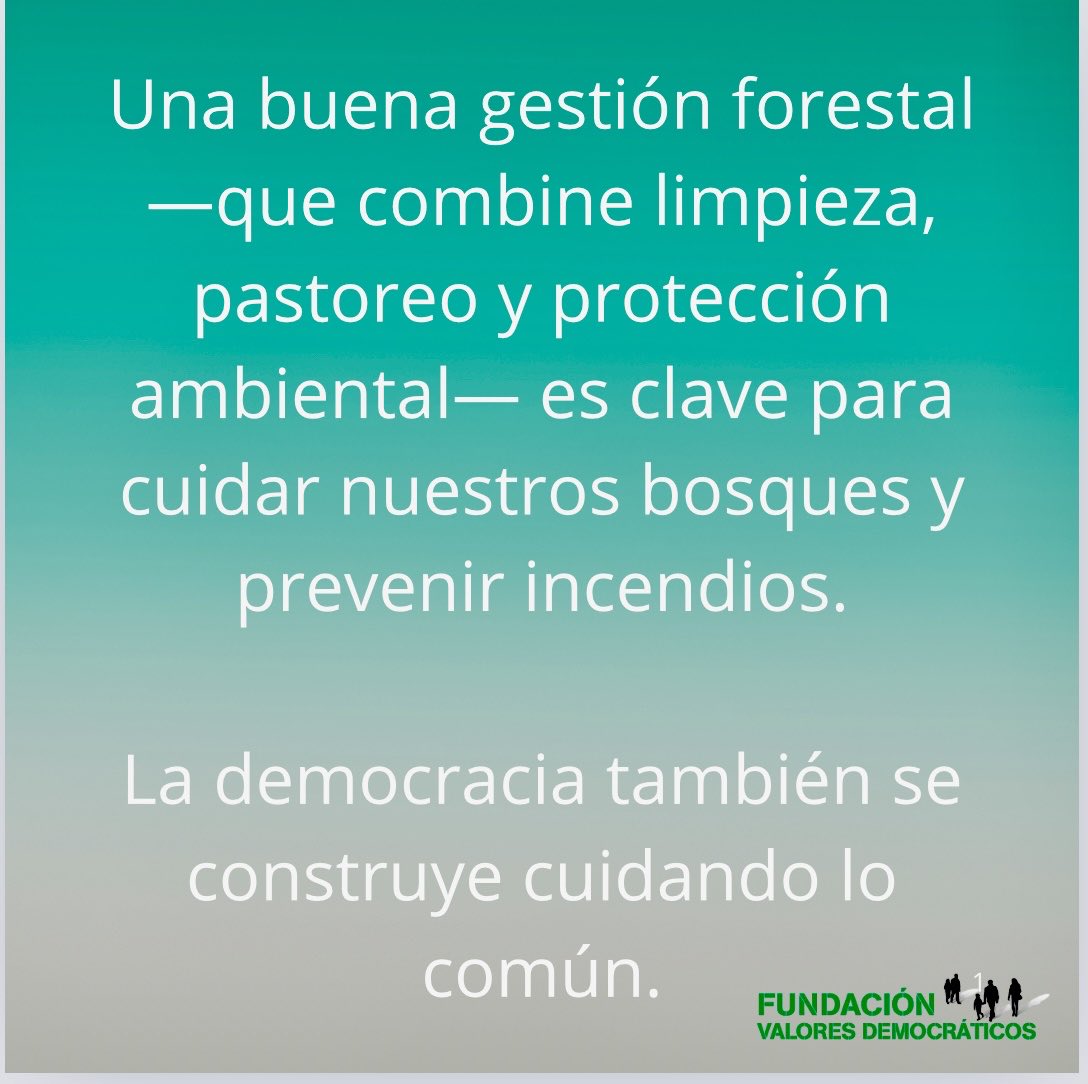 El monte necesita gestión, no abandono.
#GestiónForestal #ValoresDemocráticos #PrevenciónDeIncendios #GanaderíaExtensiva #BosquesVivos #EspañaRural #CuidadoDelMedioAmbiente #FundaciónValoresDemocráticos #DemocraciaVerde