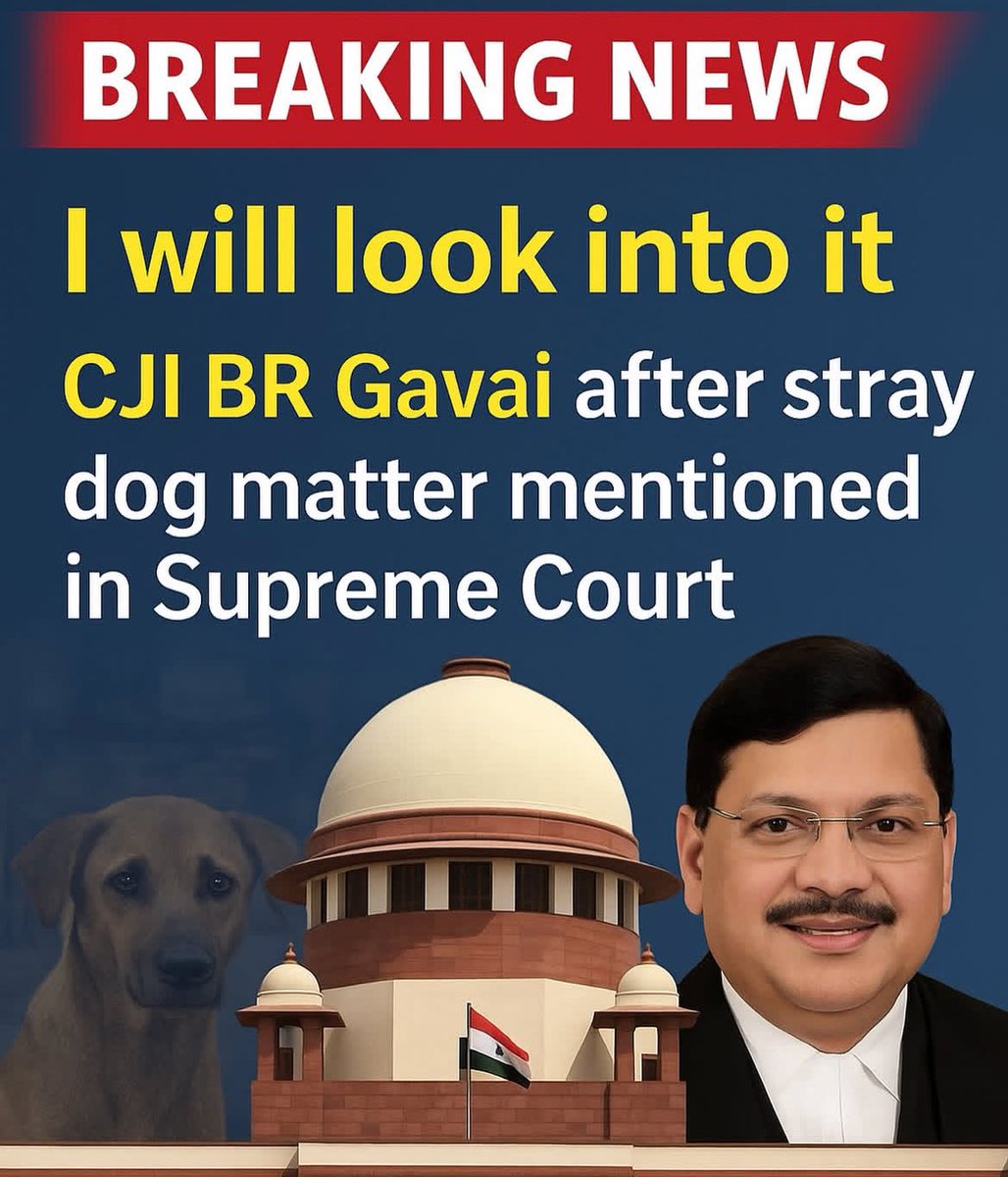 hdubey19's tweet photo. Thank god 🙏🙏
CJI BR Gavai has assured he will look into the stray dog issue after it was raised in the Supreme Court.
#savedog #SupremeCourt #straydogs #IndependenceDay #straydogs #savelife https://t.co/swcXr8nZIQ
