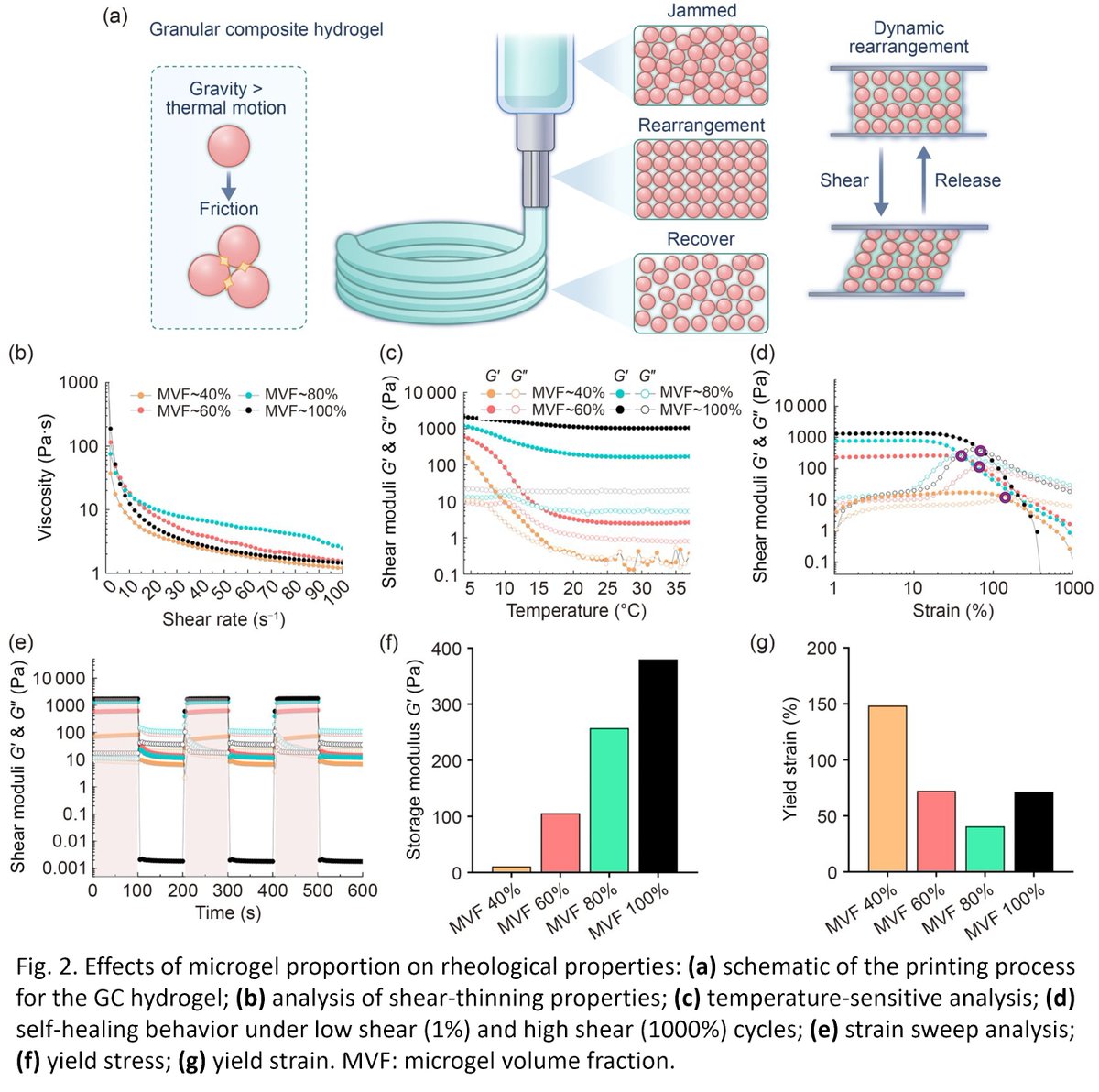 Bio-Design and Manufacturing (@biodesignmanuf) on Twitter photo Mechanical regulation and 3D bioprinting of native tissue-inspired granular composite hydrogels
Learn more: doi.org/10.1631/bdm.25…
<a href="/Tsinghua_Uni/">Tsinghua University</a> Mechanical regulation and 3D bioprinting of native tissue-inspired granular composite hydrogels
Learn more: doi.org/10.1631/bdm.25…
<a href="/Tsinghua_Uni/">Tsinghua University</a>