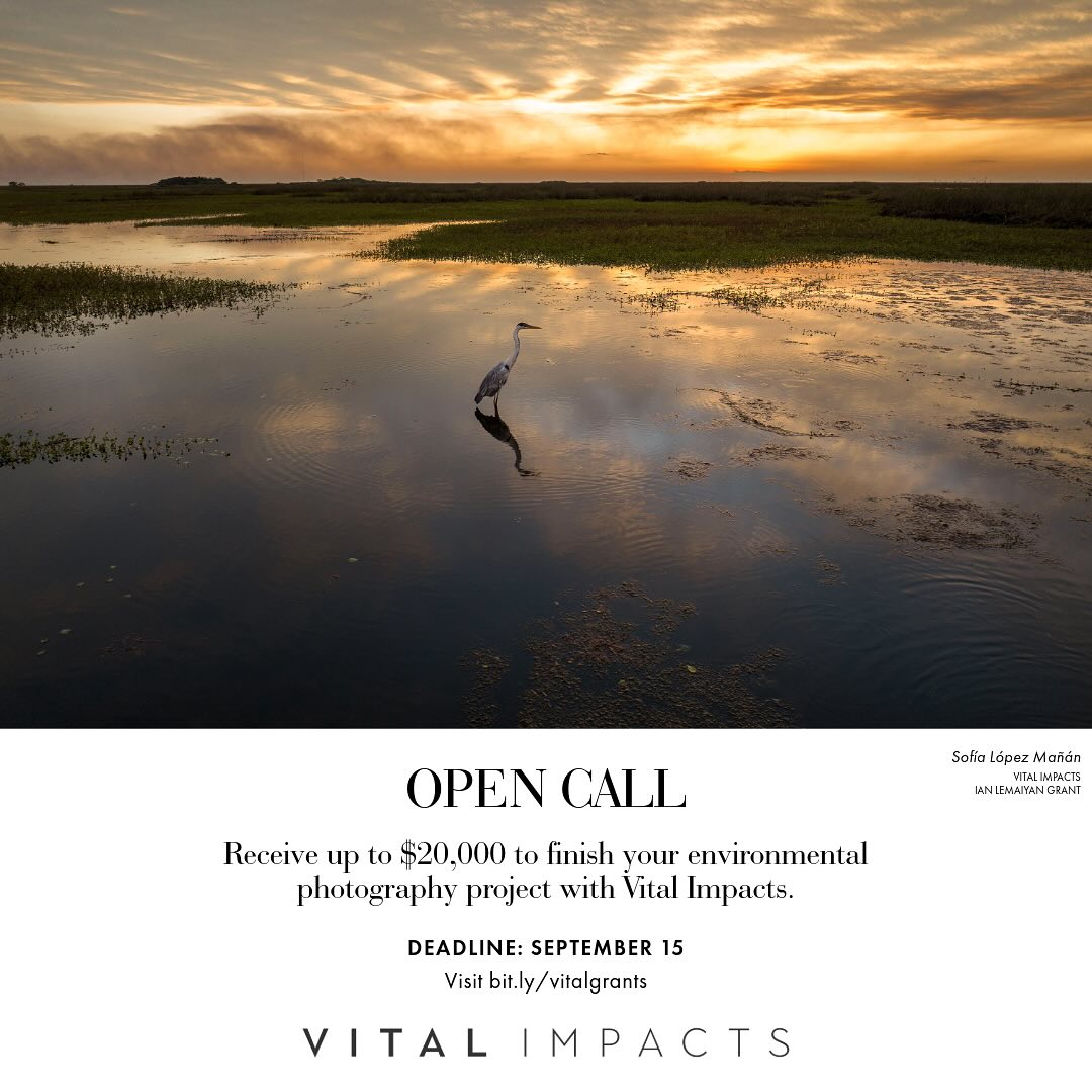 WildlifeDisease's tweet photo. The Vital Impacts 2025 Environmental Photography Grants and Mentorships are open for applications!
🗓️Apply by September 15, 2025
🏆Up to $20,000 USD
Learn more and apply at https://t.co/gZnlcqficf.
Photo by 2023 Grant Winner Musuk Nolte https://t.co/4xXd59PrYD